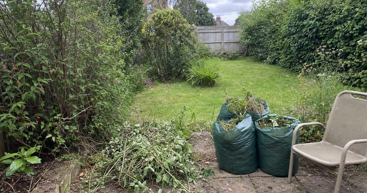 Garden clearance in Andover: when to clear it yourself and when to call a service